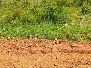 Land