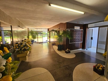 3 Bedroom Flat & Apartment