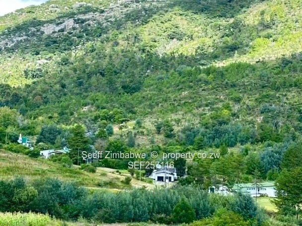 Exclusive Damview Plot For Sale in Nyanga- 6,077m² 
