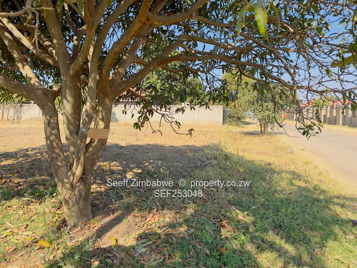 Generous Size Stand with 2-Bed Cottage, Zimre Park