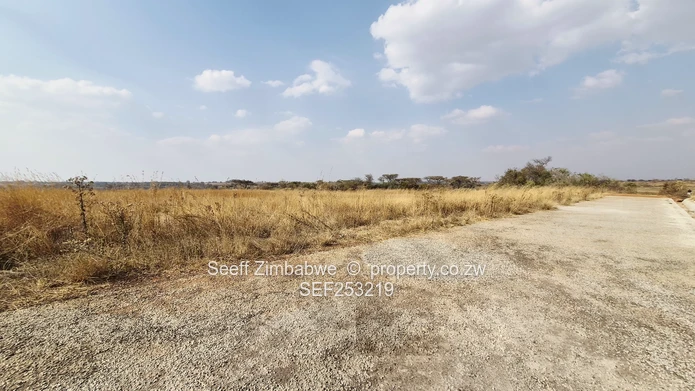1200m² Nyabira Stand  (Sole Mandate)