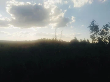 Farm & Agricultural Land