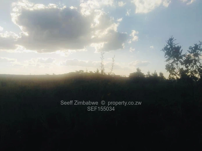 Experience The Nyanga Lifestyle, In Nature's Luxury (Sole Mandate)