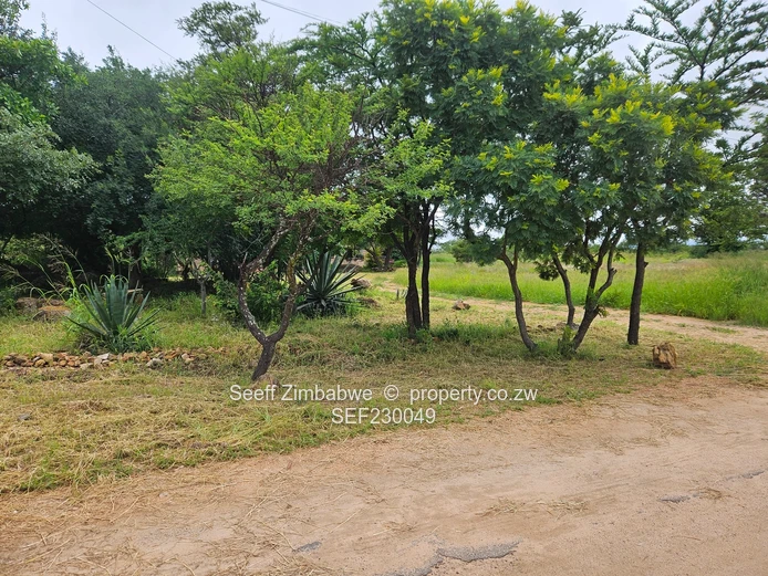 Incomplete cottage on a spacious piece of land 