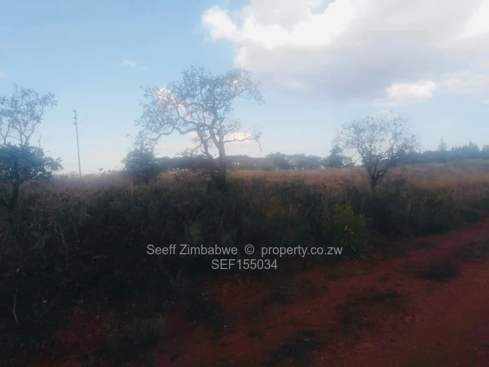 Experience The Nyanga Lifestyle, In Nature's Luxury (Sole Mandate)