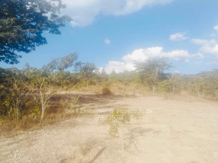 Experience The Nyanga Lifestyle, In Nature's Luxury (Sole Mandate)