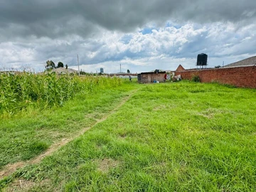 Stands & Residential Land