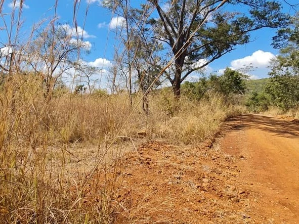 Farm & Agricultural Land