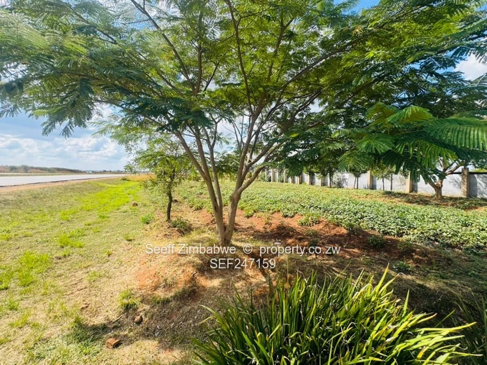 Prime Multi-Purpose Plot | Knowe, Norton (Sole Mandate)