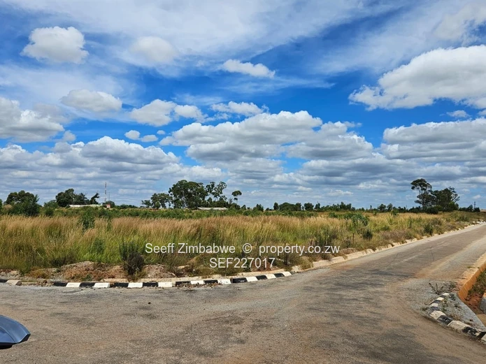 Stands for Sale in Paarl Estate, Nyabira