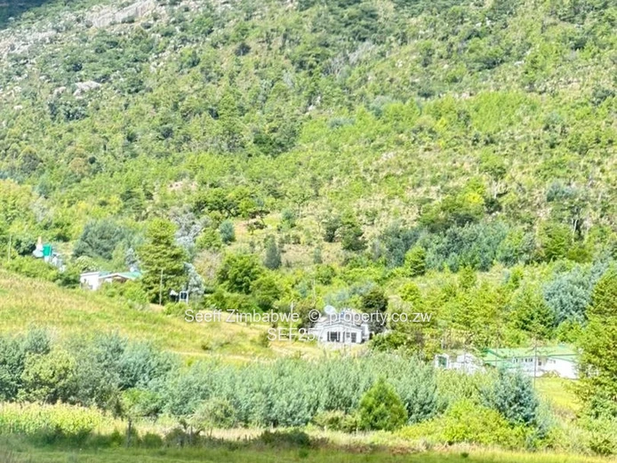 Nyanga 5,547 m² — Rolling Valley Plot with Mountain Views