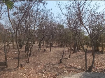 Farm & Agricultural Land